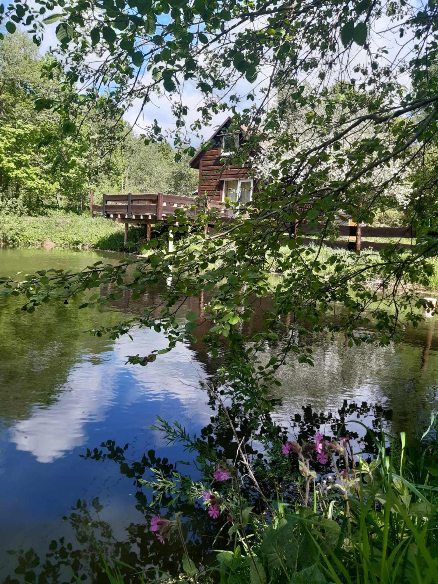 Pod Dobrym Adresem- Domek Nad Stawem Cisna Exterior foto