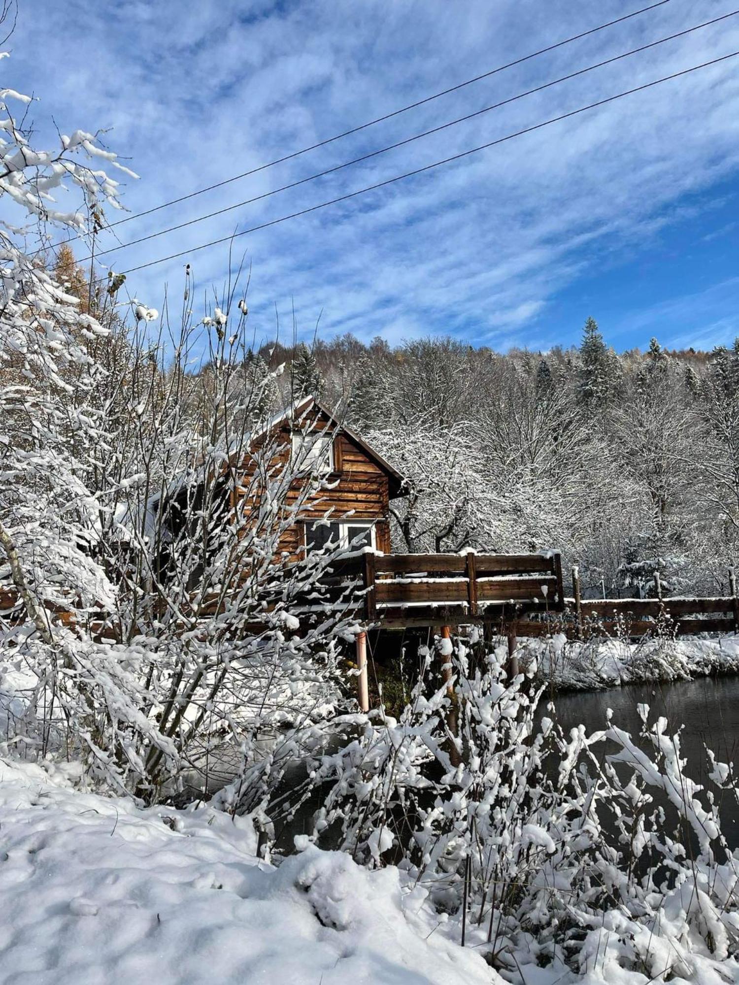Pod Dobrym Adresem- Domek Nad Stawem Cisna Exterior foto